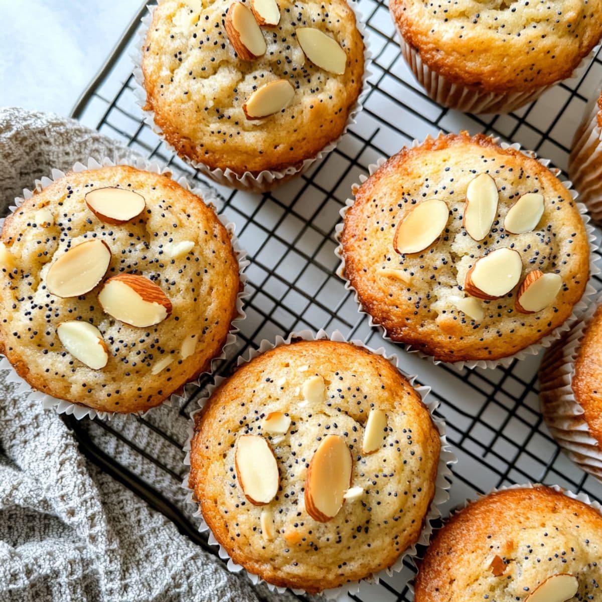 Almond poppy seed muffins on cooling rack, ready for storage or reuse.