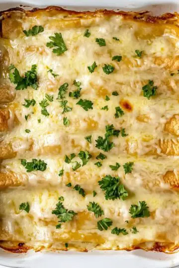 White chicken enchiladas in square white baking dish showing golden bubbly cheese topping with caramelized edges and fresh cilantro garnish displaying perfect Mexican comfort food presentation straight from the oven