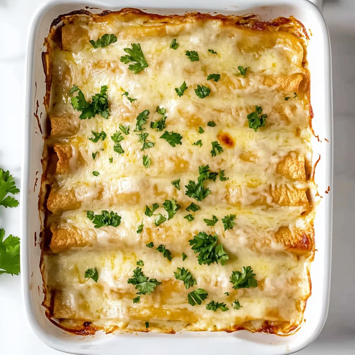 White chicken enchiladas in square white baking dish showing golden bubbly cheese topping with caramelized edges and fresh cilantro garnish displaying perfect Mexican comfort food presentation straight from the oven